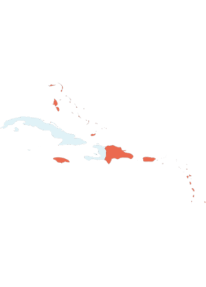 CARIBBEAN
